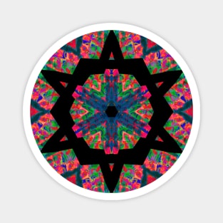 Colorful Star of Life Magnet